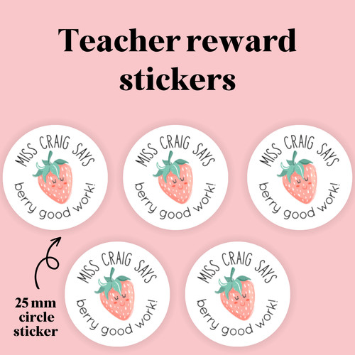 Teacher praise textbook - teacher,